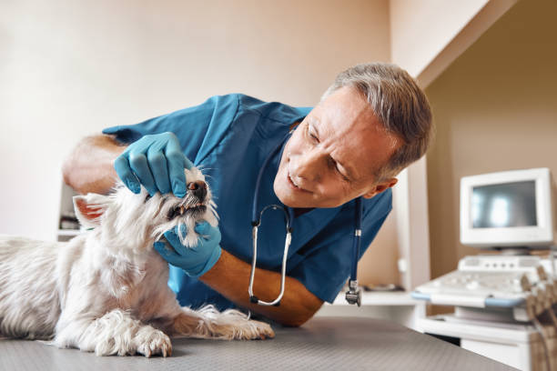 Best 24-Hour Emergency Dental Care in Beach, ND